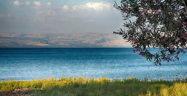 מים עיליים